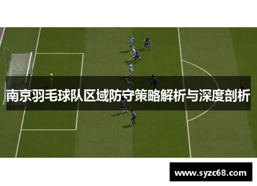 南京羽毛球队区域防守策略解析与深度剖析